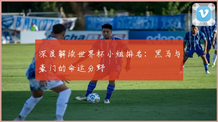 深度解读世界杯小组排名：黑马与豪门的命运分野
