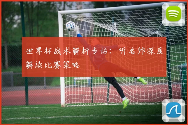 世界杯战术解析专访：听名帅深度解读比赛策略