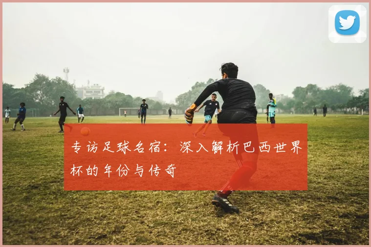 专访足球名宿：深入解析巴西世界杯的年份与传奇