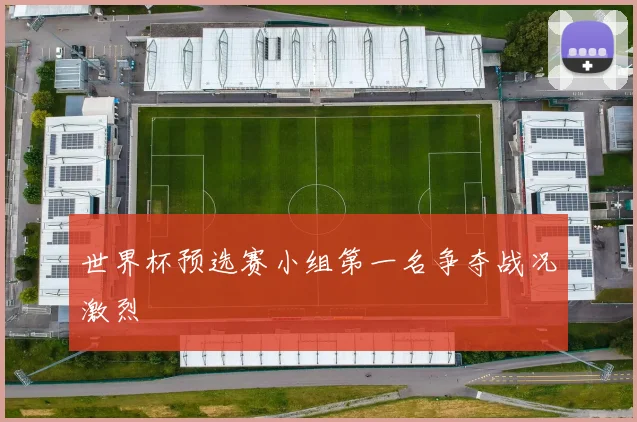 世界杯预选赛小组第一名争夺战况激烈