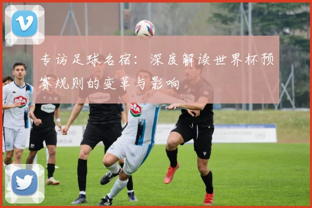 专访足球名宿：深度解读世界杯预赛规则的变革与影响