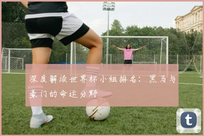 深度解读世界杯小组排名：黑马与豪门的命运分野